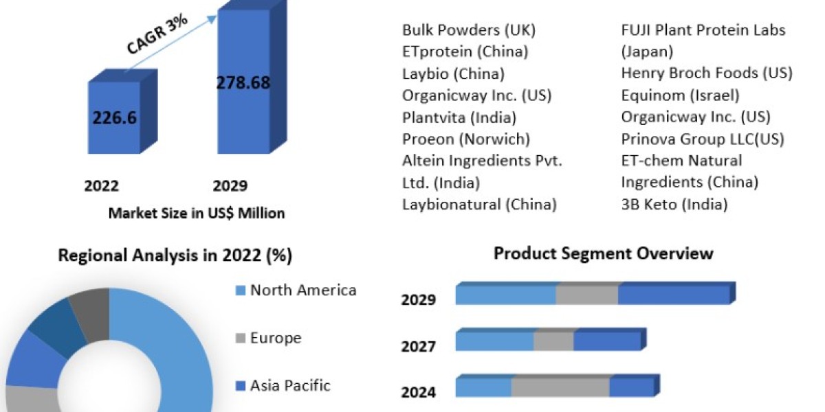 Mung Bean Protein Market Analysis: Regional Insights and Country-Level Market Performance