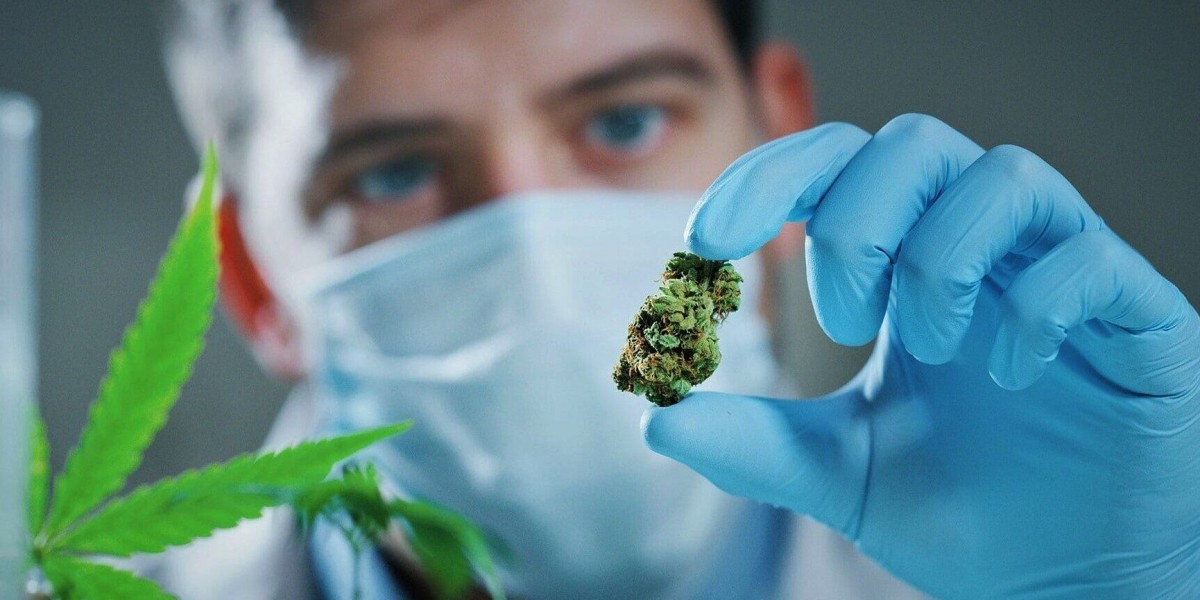 Cannabis Testing Market Growth - Market Analysis, Size, Share, Trends, Demand, Overview and Segment Forecast To 2029