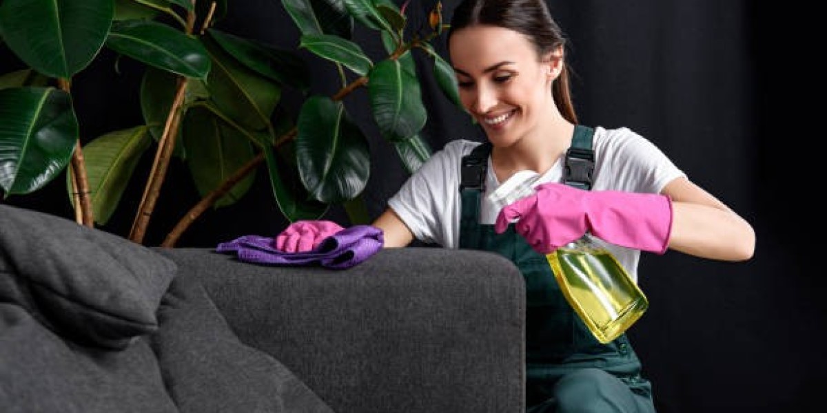 Professional Sofa Cleaning vs. DIY: Which Wins?