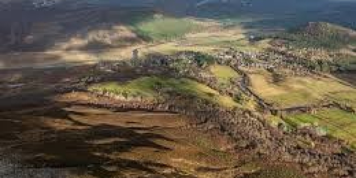 Lady Braemar: Scottish Nobility and Highland Heritage