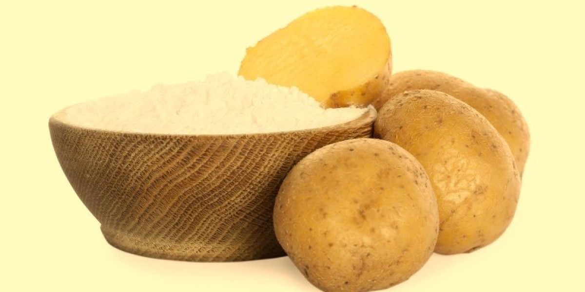 Top 20 Companies in Japan Potato Protein Market  2025: Forecast Analysis Report