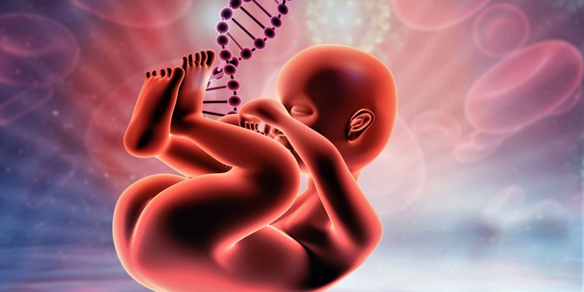 Non-Invasive Prenatal Testing Market Research Report, Types, Technology, Application and Region Forecast to 2029