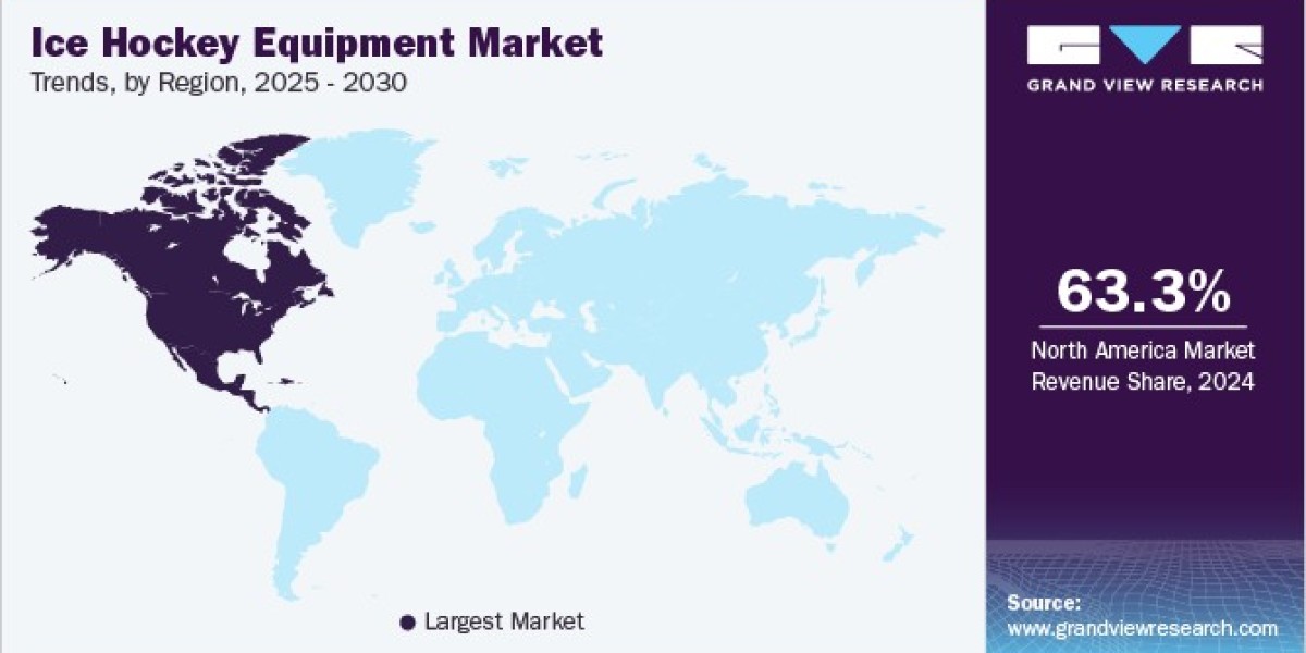 Ice Hockey Equipment Market Segmentation: Understanding Product Preferences