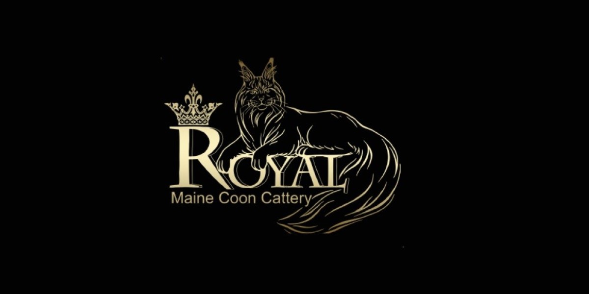 Why Maine Coon Cats Stand Out: Traits Of The Gentle Giants