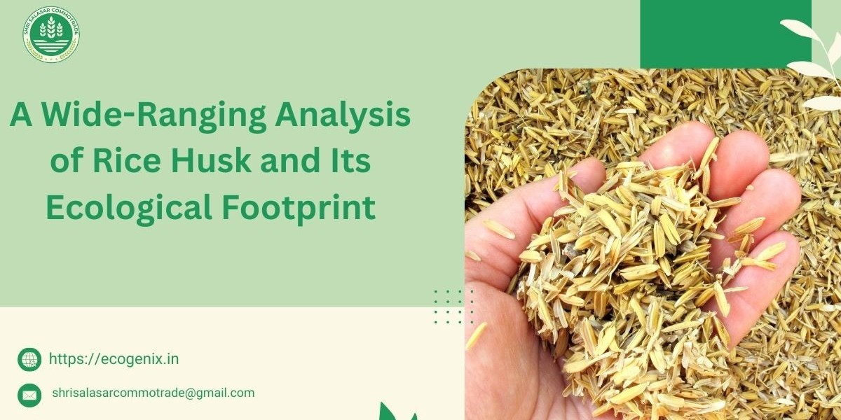 A Wide-Ranging Analysis of Rice Husk and Its Ecological Footprint