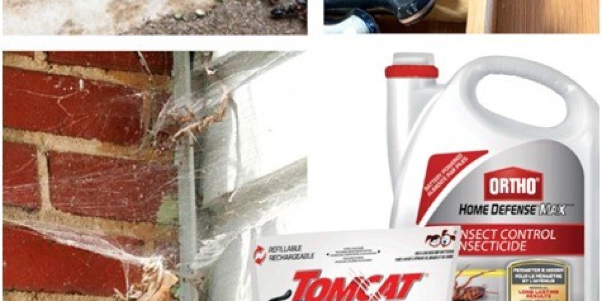 Pest Control: A Much-Needed Service For Your Living Space