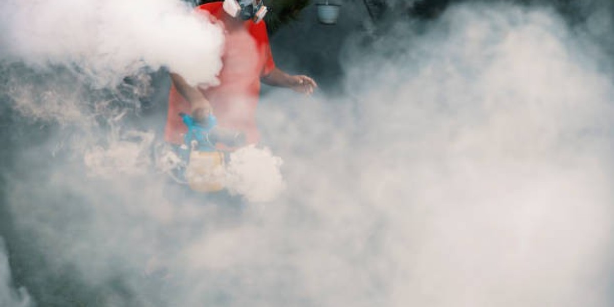 How Pest Control Companies Deliver Complete Solutions for Lasting Results