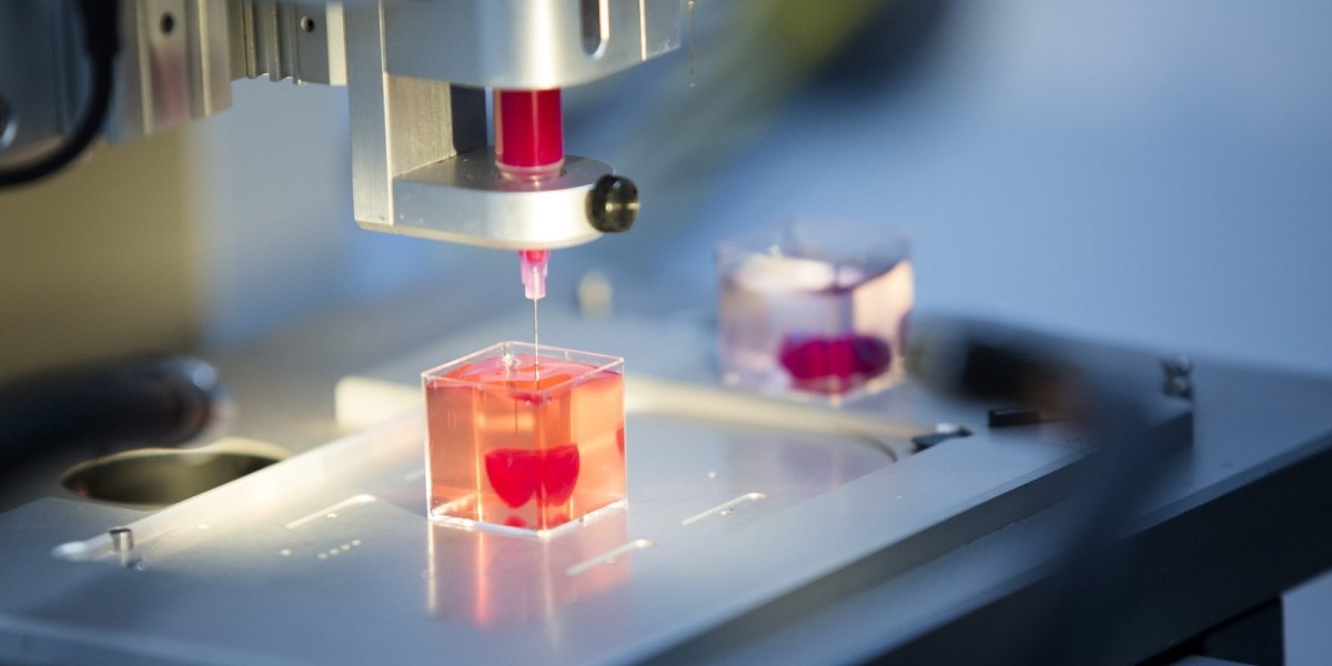 3D Bioprinting Market Overview: Key Drivers, Challenges, and Future Outlook