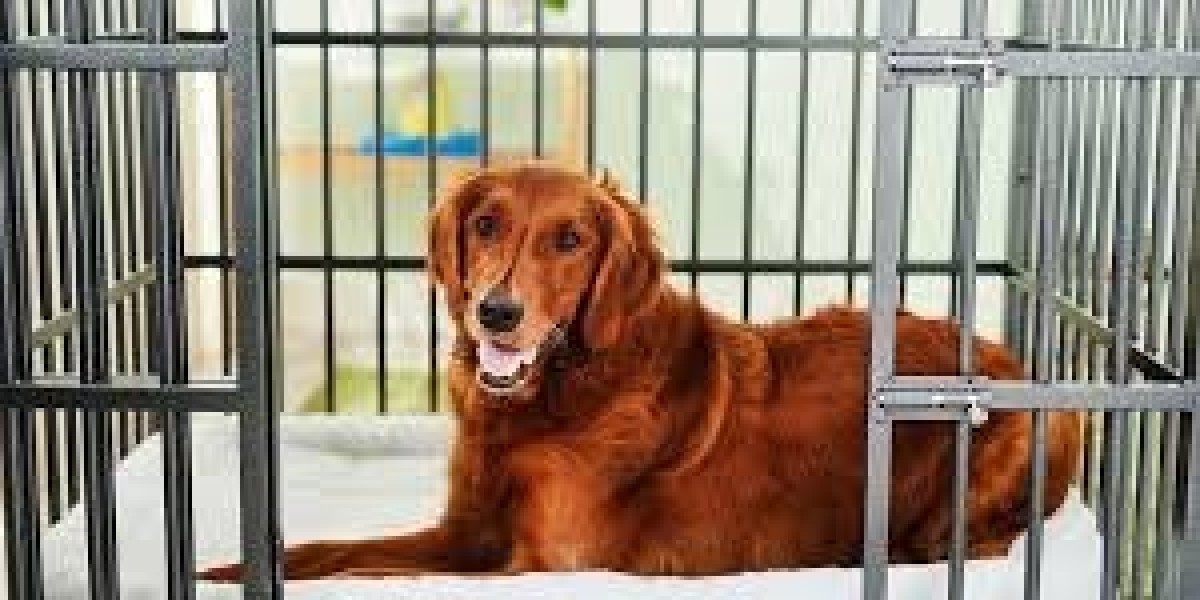 The Best Dog Crate for Escape Artists: Keeping Your Clever Canine Secure