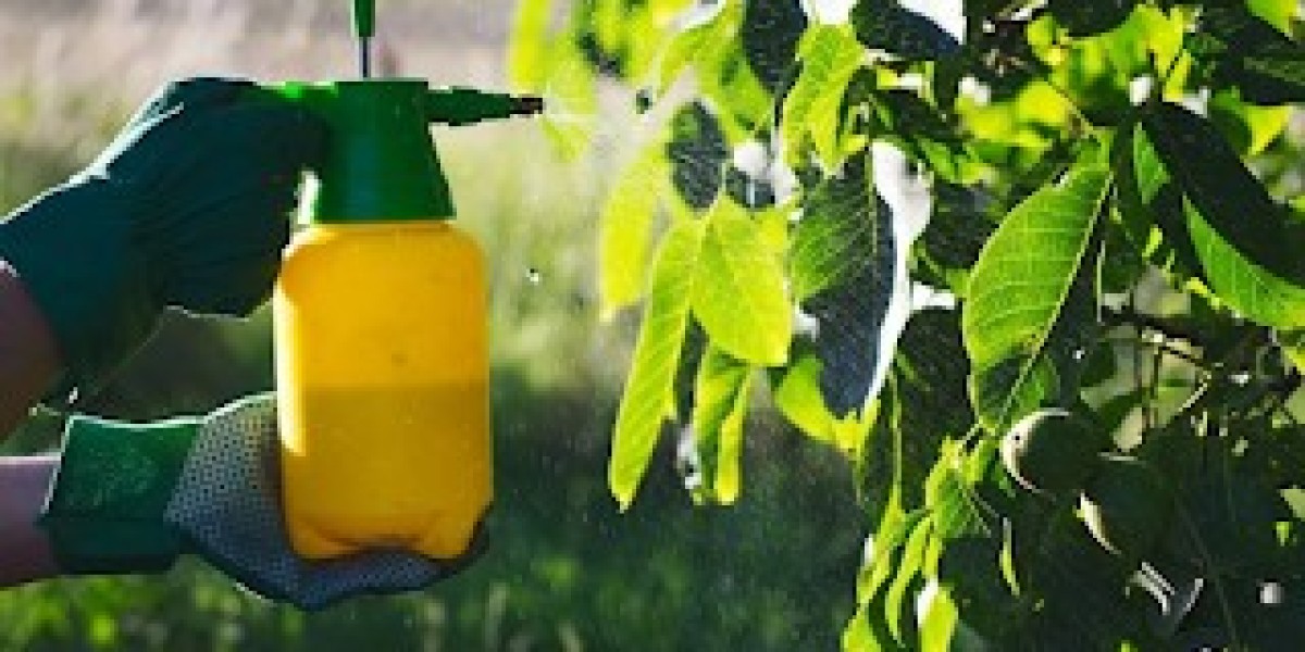 Foliar Spray Market Trends, Demand, Forecast 2025–2033