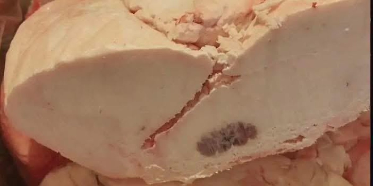 Lamb tail fat for sale usa | dried seahorses for sale | african arowana for sale in Kansas, USA