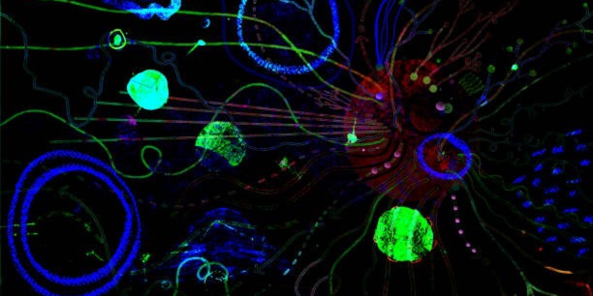 Biophotonics Market Insights: Key Trends, Innovations & Future Growth Opportunities