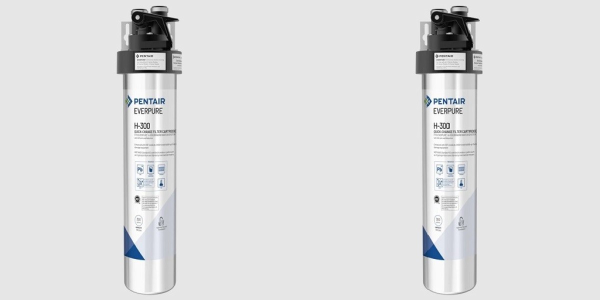 Everpure H300 Filter and Lead Reduction: What Homeowners Should Know