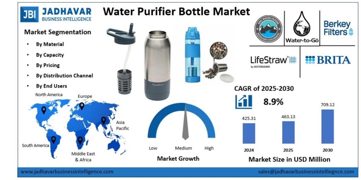 Water Purifier Bottle Market: Competitive Landscape Among Hydration Product Brands