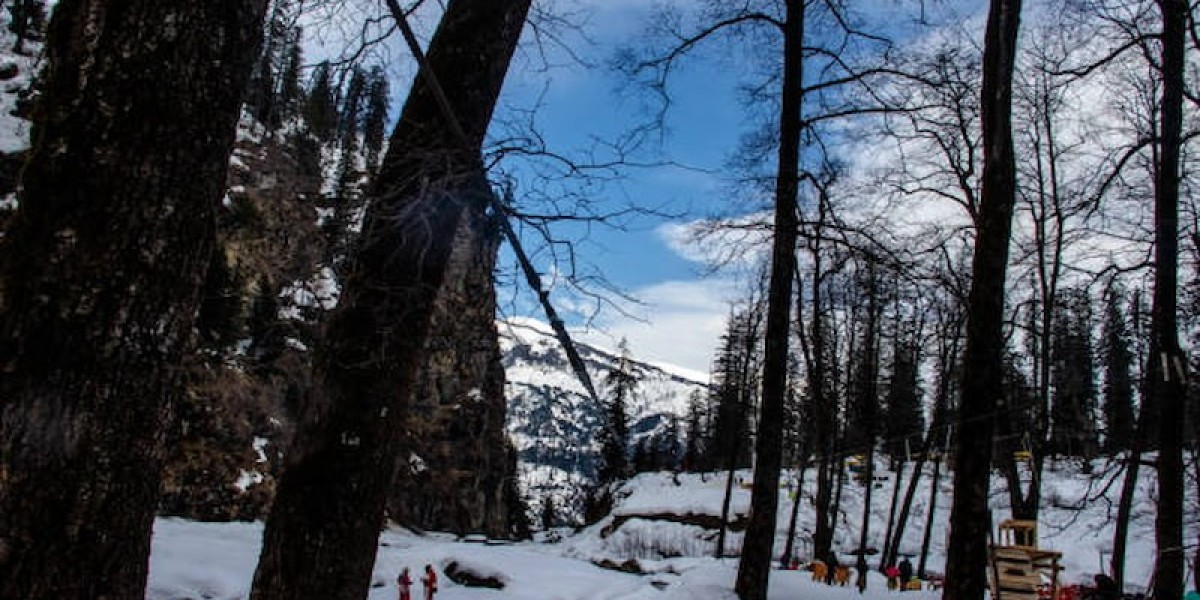 Photography Spots in Shimla & Manali for Travel Creators