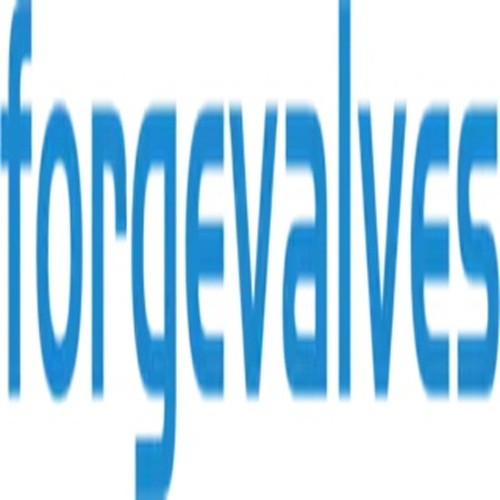 China Forged Valves