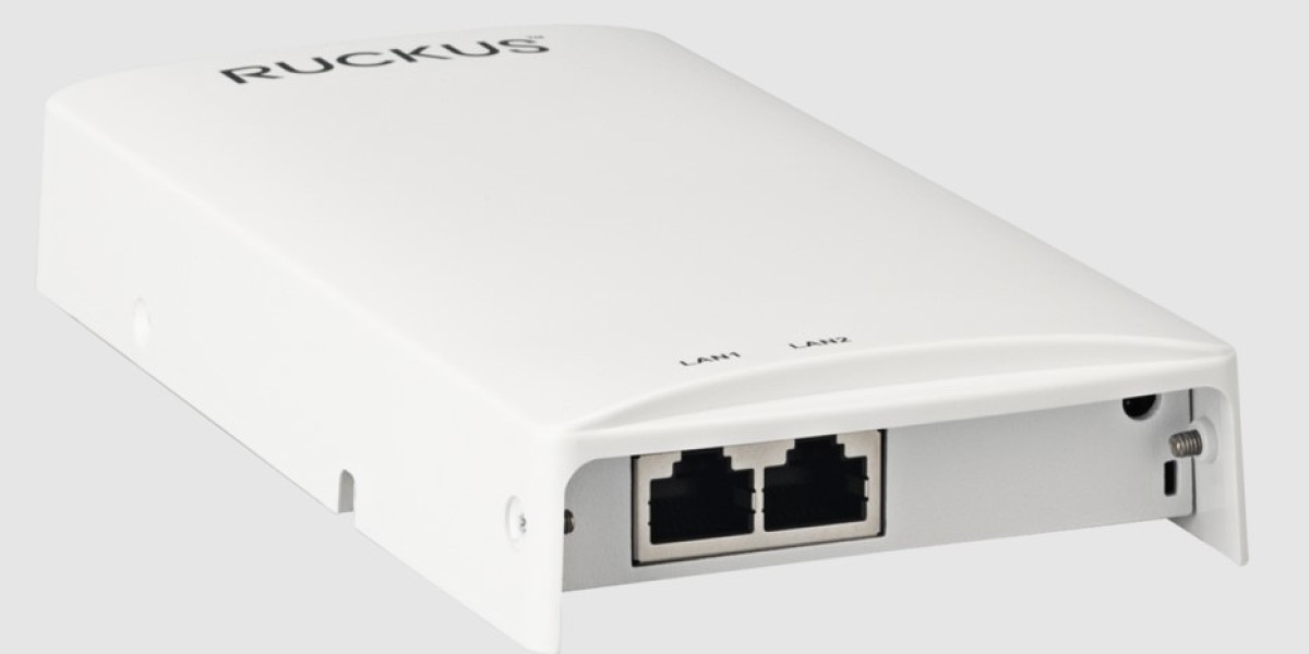 Unleash Next-Level Wireless Power with the Ultimate RUCKUS Access Point