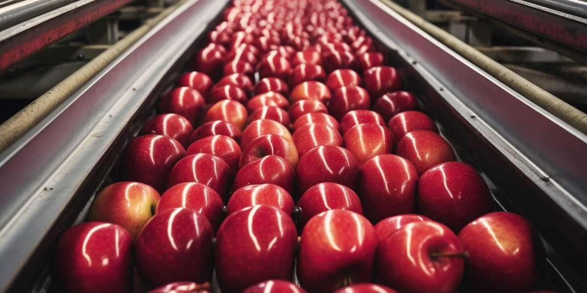 Top 20 Companies in Global Food Sorting Machine Market 2025: Preparing for the Unpredictable Future