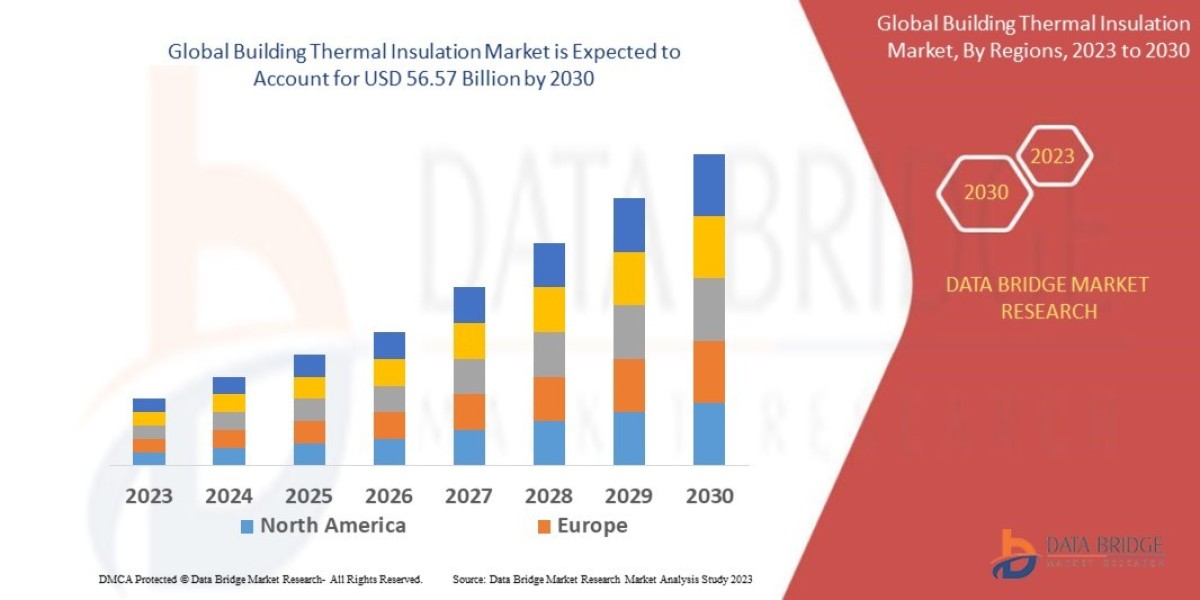 Building Thermal Insulation Market Size, Share, Trends, Growth Opportunities and Competitive Outlook