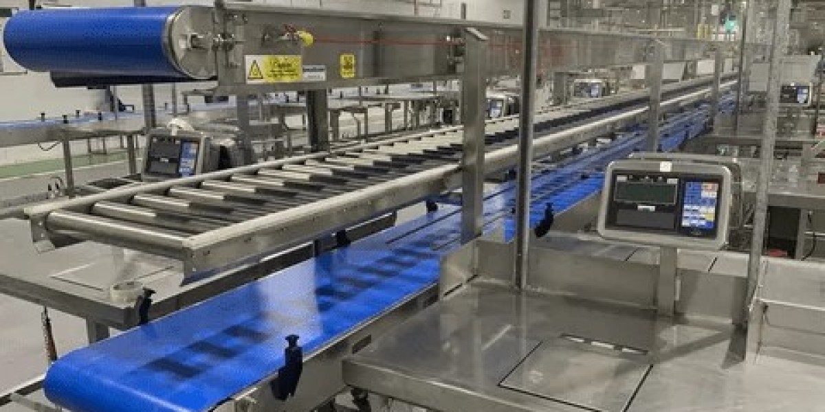 Automated Pack Conveyors Market Industry Overview