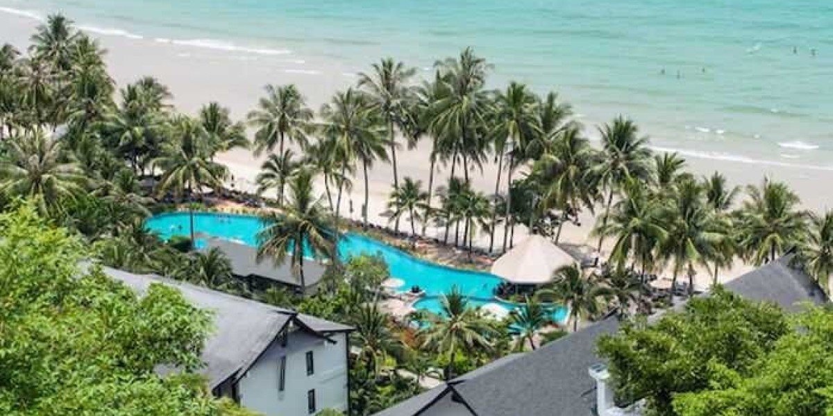 Seasonal Guide: When and Where to Stay in Goa for the Best Experience