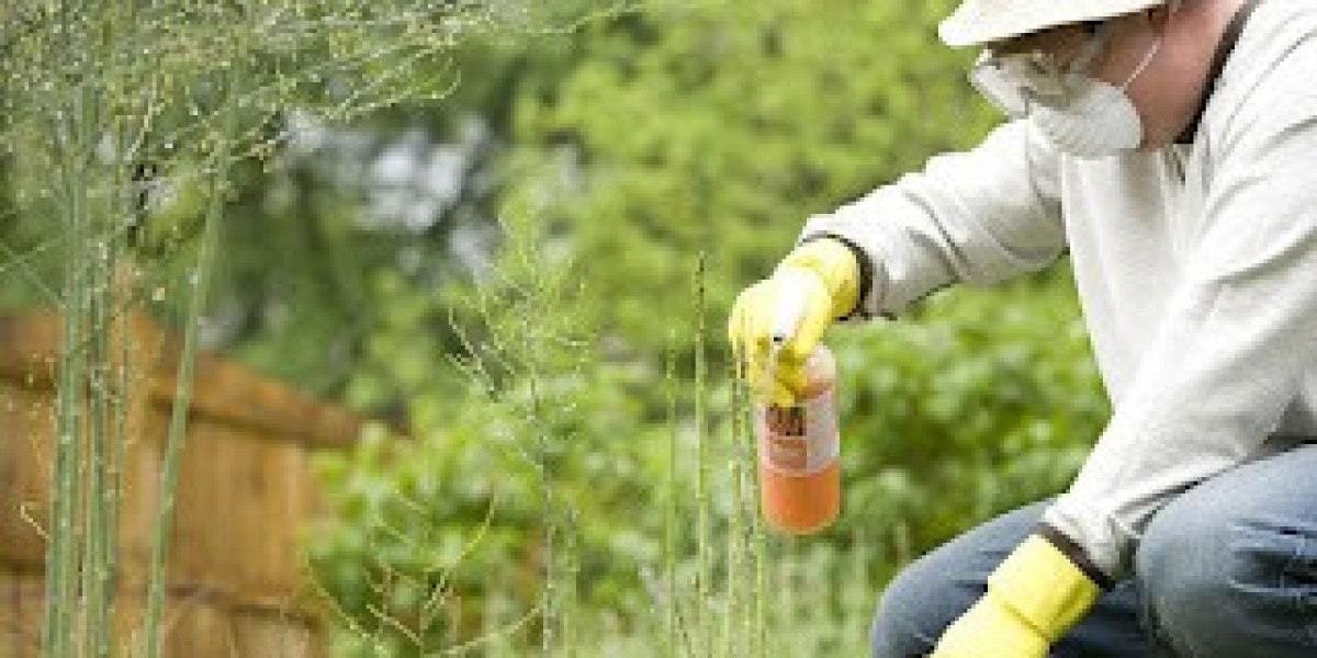 Foliar Spray Market Analysis, Growth Trends & Forecast to 2033