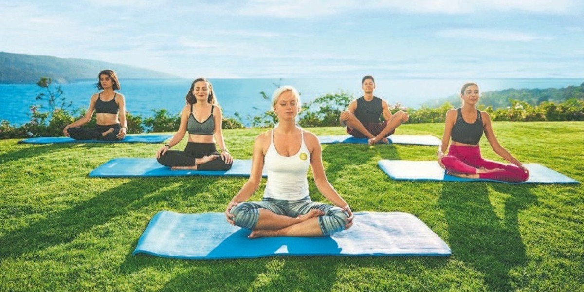 Beginner’s Guide to Whole Health Living for a Balanced Lifestyle