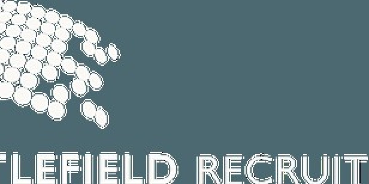 Understanding the Role of a Public Sector Recruitment Agency in the United Kingdom