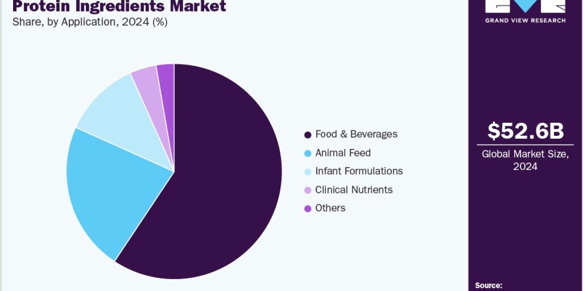 Protein Ingredients Market Demand: Insights into Nutritional Supplements and Food Products