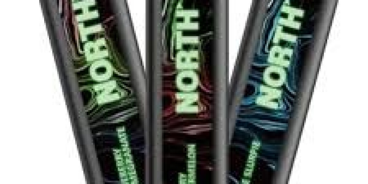 North Vapes Flavors 2025 – North FT12000 Price Insights