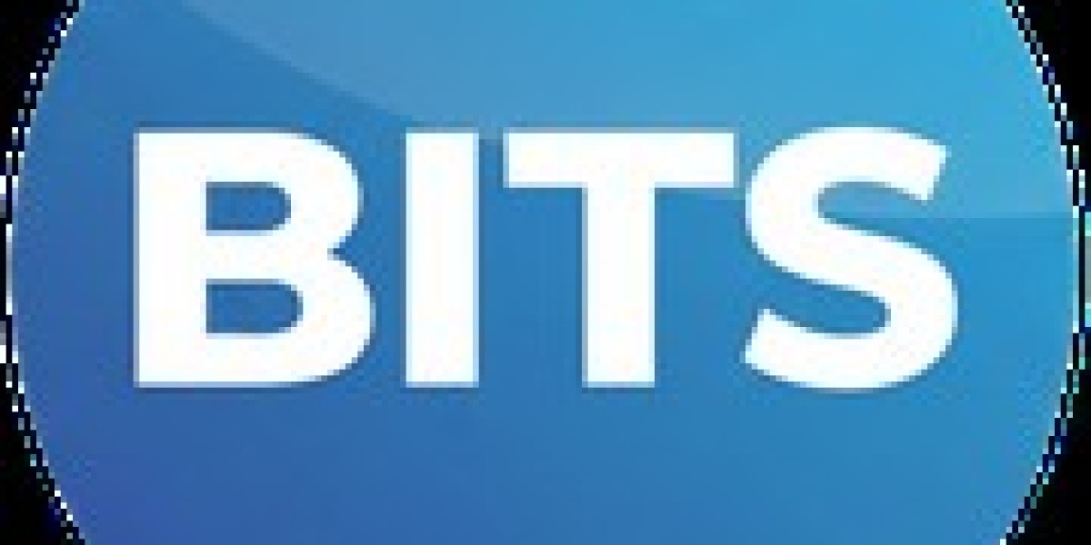 BITS – Utility Reflection Token Powering Compute, Gaming & Digital Marketplace