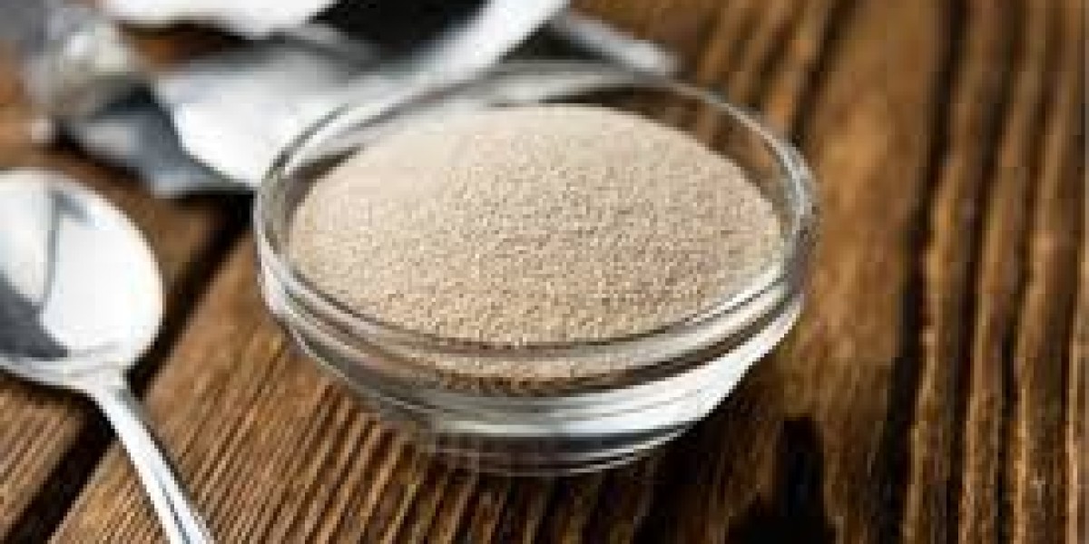 Dry Yeast Market Records Steady Demand From Bakery And Beverage Sectors