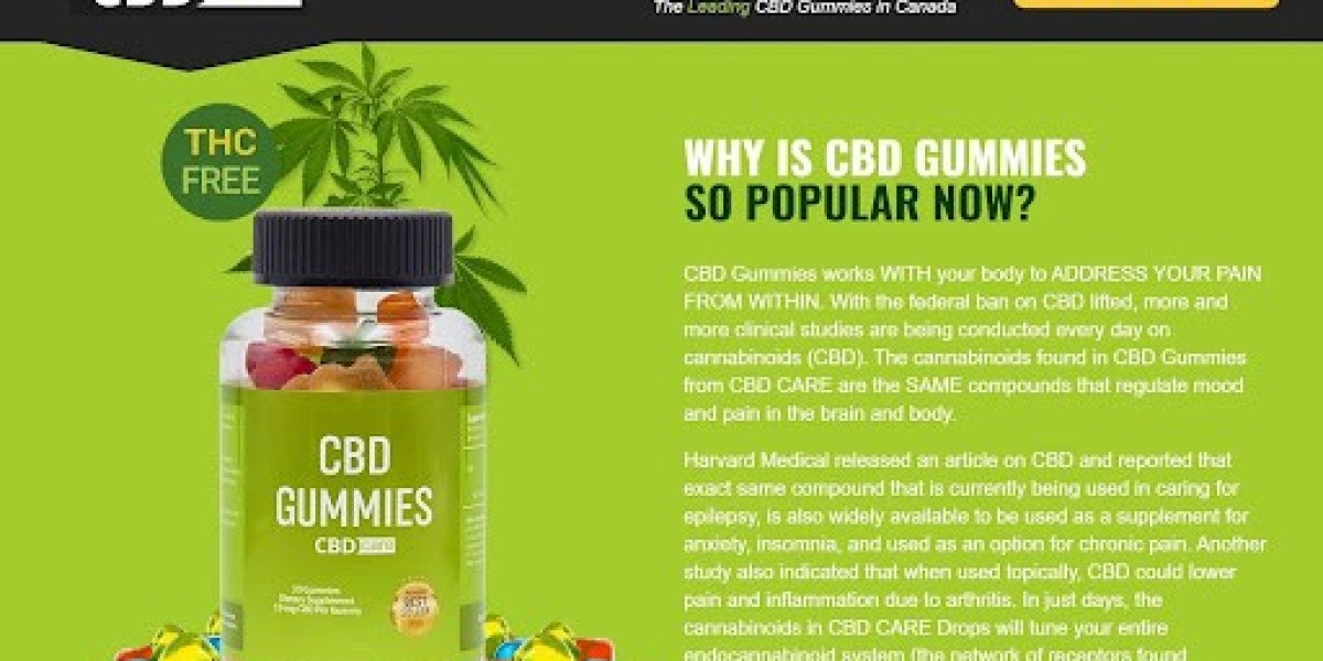 Calm Nature CBD Gummies Effectiveness: Clinical Insights and User Experiences