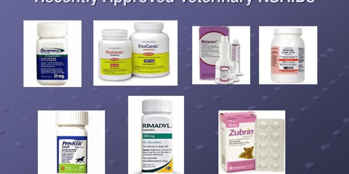 Veterinary Analgesics Market by Drug Type