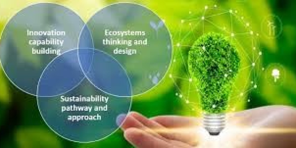 Kamil Pyciak: Shaping Progress Through Thoughtful Action