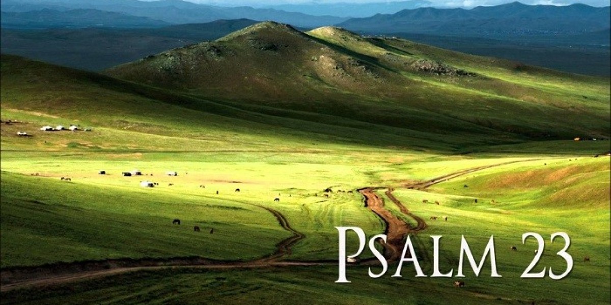 How Does Psalm 23 Reflect God’s Care and Guidance?