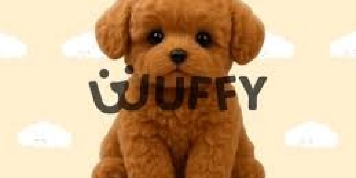 Wuffy Robot Dog