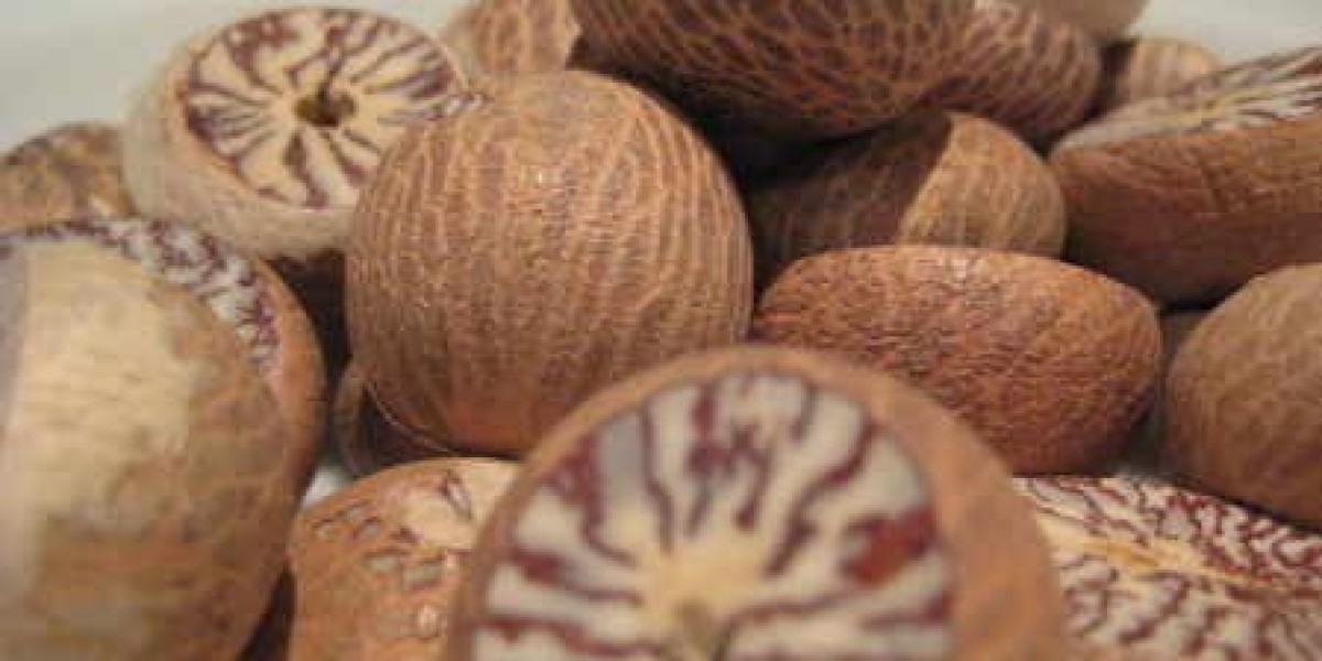 Top 20 Companies in  Global Betel Nuts  Market 2025: Market Growth Report