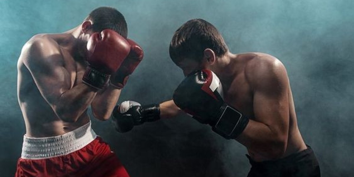 Go through the Excitement As well as Motion In order to Watch Boxing Online