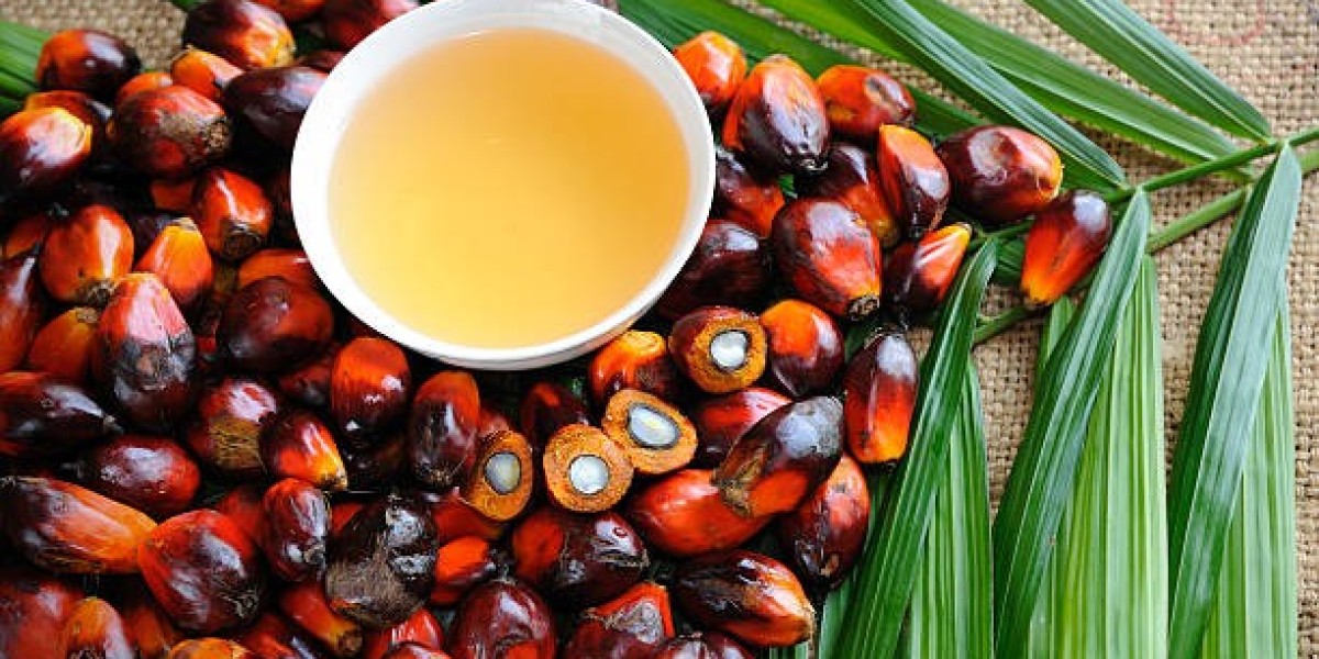 Spain Palm Oil Market Size, Share & Growth Forecast Analysis Report 2033