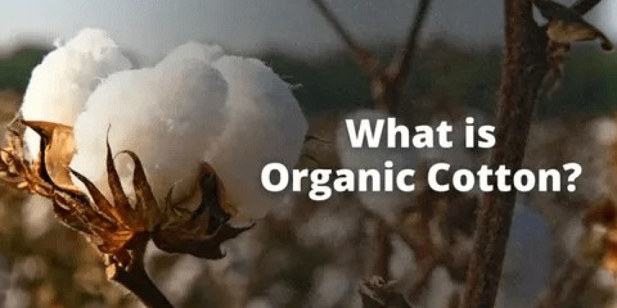 Organic Cotton Market by Product Type