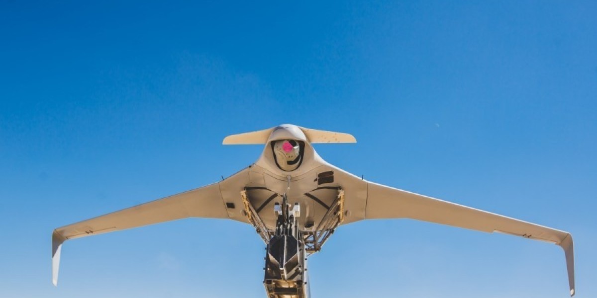 Egypt Drones Market Report, Share & Analysis 2025-2033