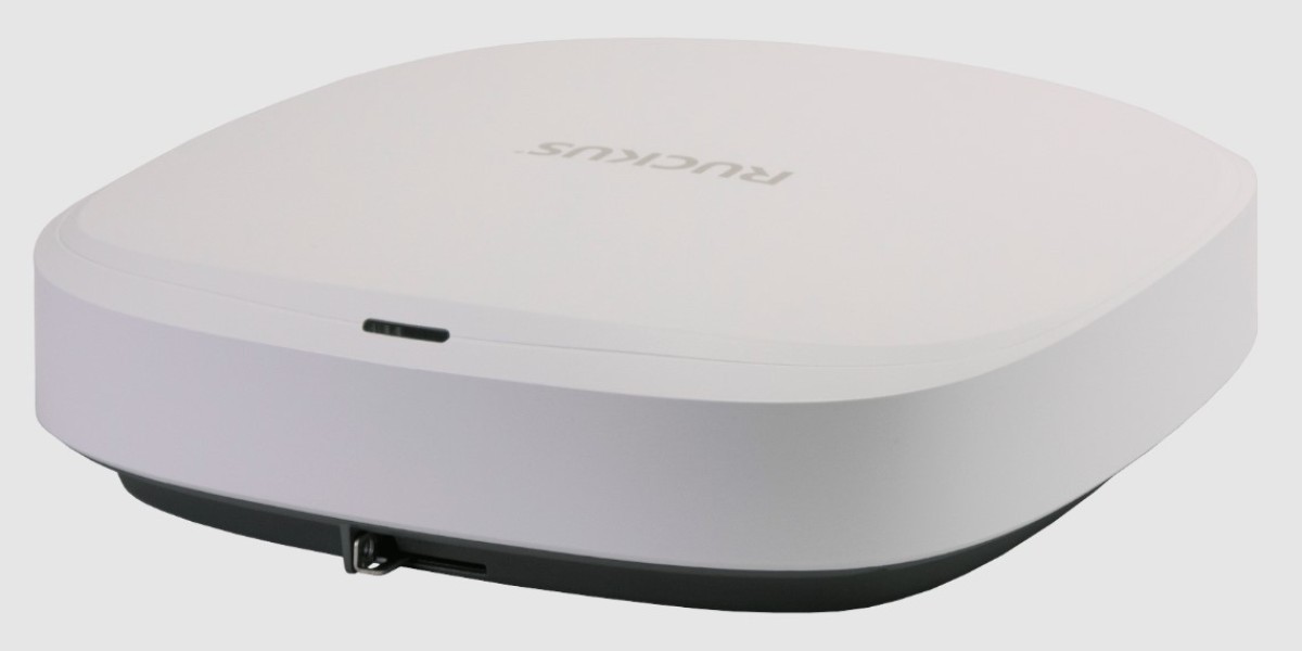 Ruckus Wireless: Powering Unstoppable Connectivity for Modern Enterprises