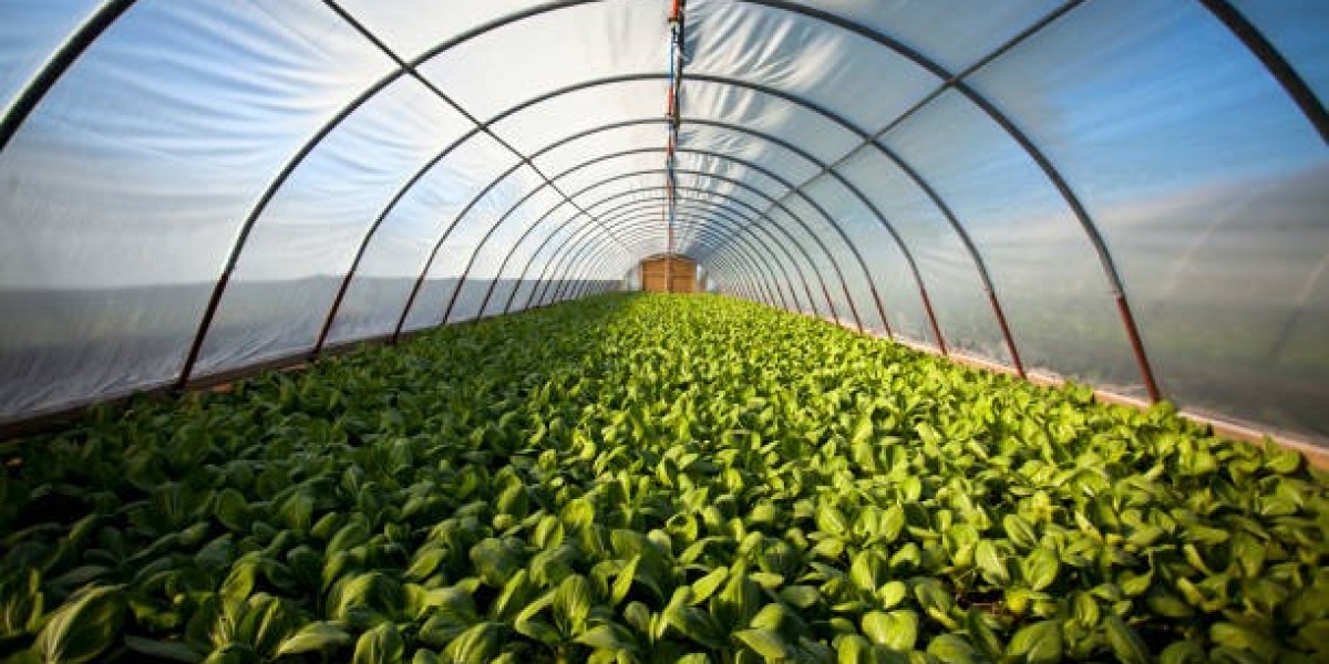 The Future of the Biopreservation Market: Innovations, Applications & Growth Drivers