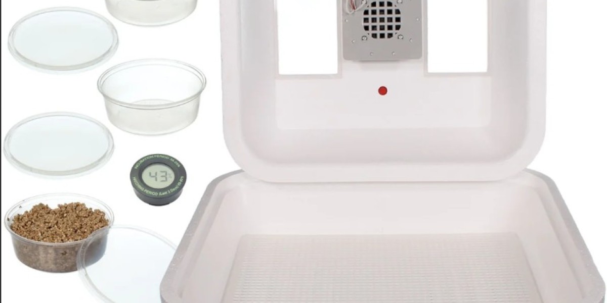Best Incubator for Chicken Eggs: A Simple Guide for Beginners