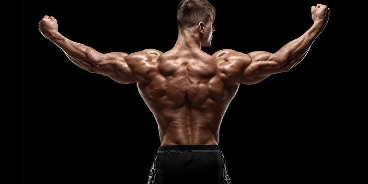 Best SARMs for Body Recomposition and Fat Burning