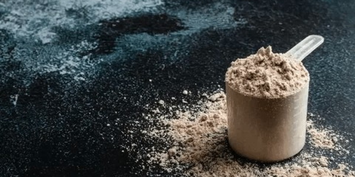 Plant-Based vs Whey Protein Powder Market Analysis