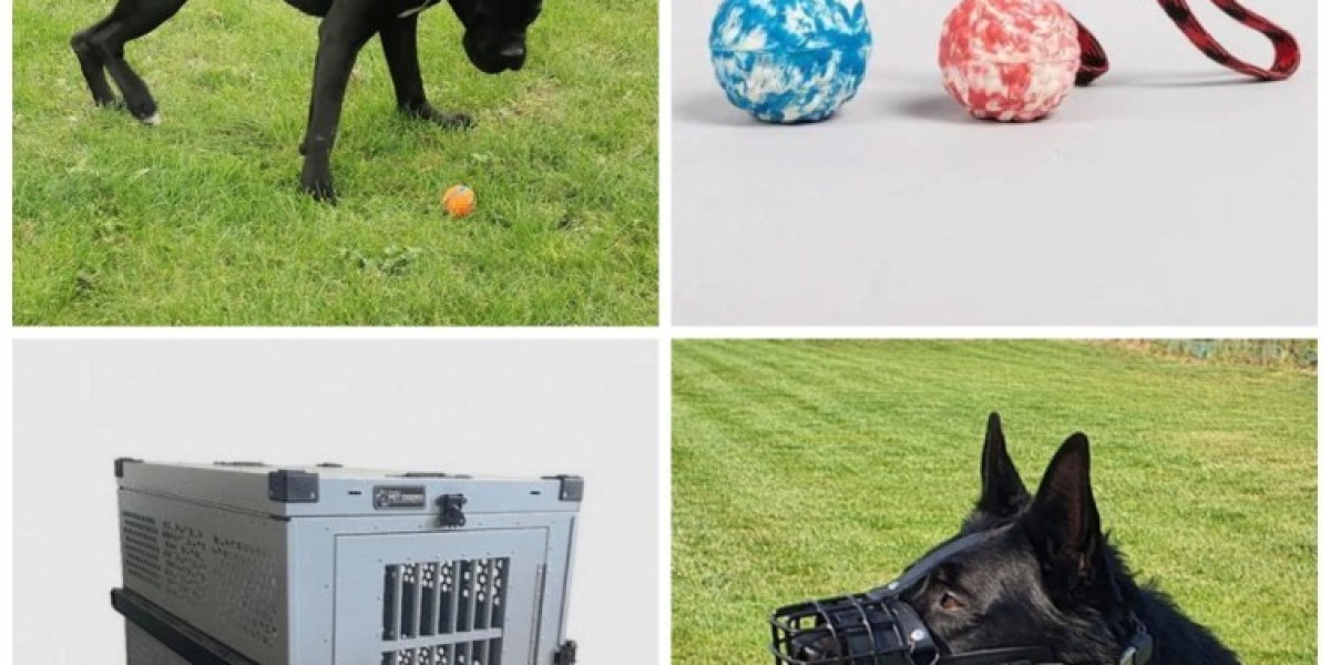 Complete Dog Gear Buying Guide: Balls, Muzzles, Harnesses, and Crates Explained