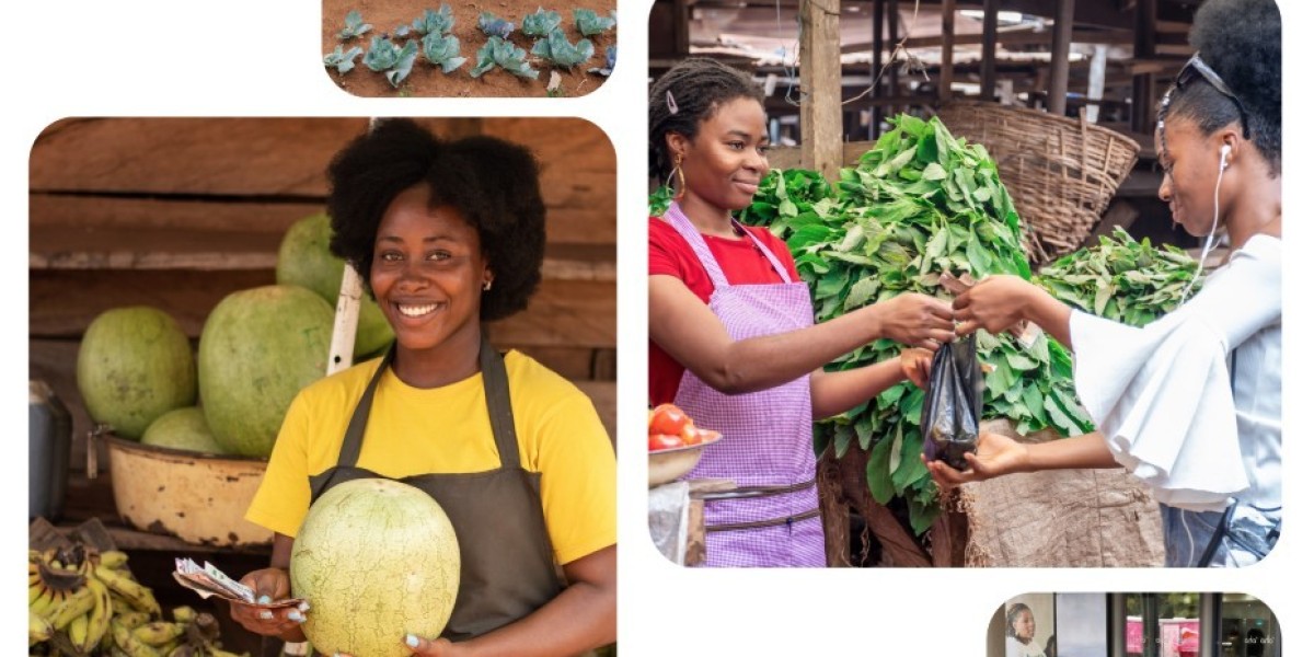 Community Microfinance for Women Empowerment South Africa | WDB Trust