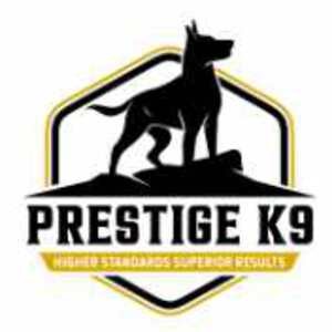 Prestige k9
